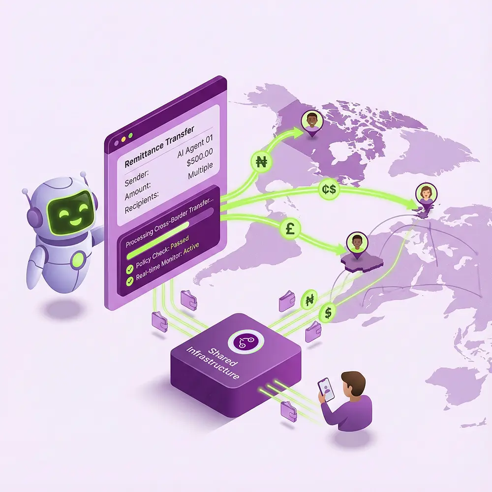 Remittance Platforms